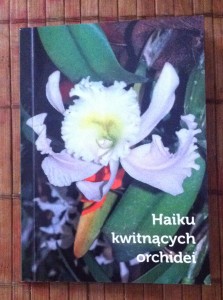 Haiku kwitnących orchidei